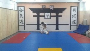Goshin waza Aikido | Айкидо в Луганске