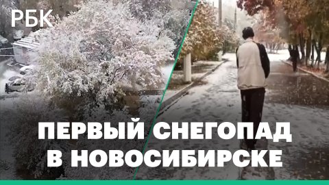 Новосибирск накрыл первый снегопад: видео жителей