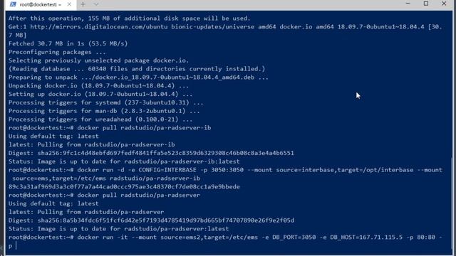 Working with the RAD Server image for Docker смотреть онлайн