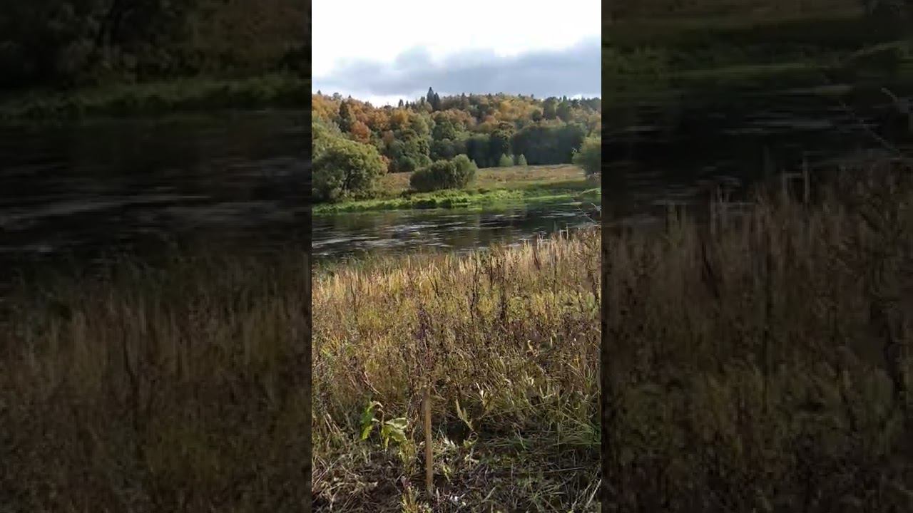 24 сентября 2022 г. смотреть онлайн