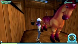 Стар стейбл Юрвикская Дикая лошадь покупка