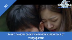 Дорама "Лес"