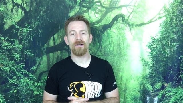 The Pros & Cons of Collecting Isopods in the Wild смотреть онлайн