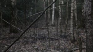 ЛЕСНАЯ ПРОГУЛКА С САМОДЕЛЬНЫМ ТАГАНОМ | В Доме хозяин