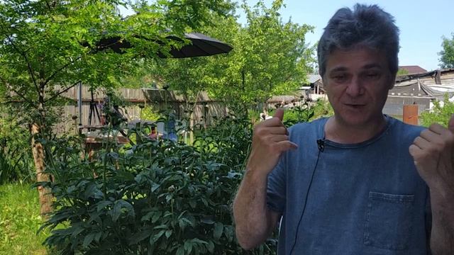 233 ART вопрос _ Видение и знание. Живопись смотреть онлайн