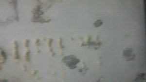 Плесень в гараже