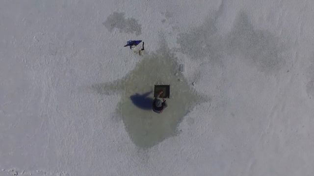 Ловля РАКОВ зимой.Ведро раков из подо льда!!!Мы знаем где раки зимуют!!! смотреть онлайн