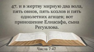 Лучшая Видео Библия. Чтение Числа. Глава 7. Синодальный перевод