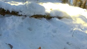 Зимняя рыбалка в ХМАО- Югре!