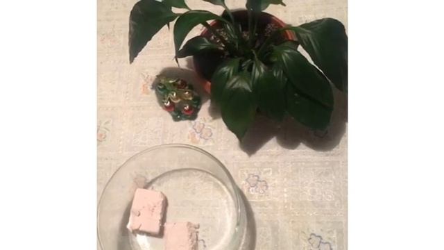 Сочники с творогом . Кыргызча рецепт. смотреть онлайн