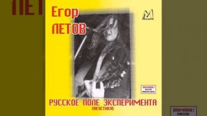 Егор Летов - всё идёт по плану