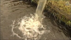 Дизельные помпы CHAMPION DP50E, DTP80E, DHP40E