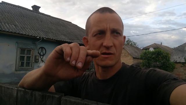 корова возвращается с пастбища смотреть онлайн