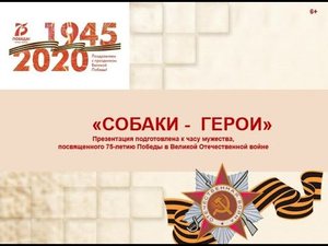 'Собаки-герои'