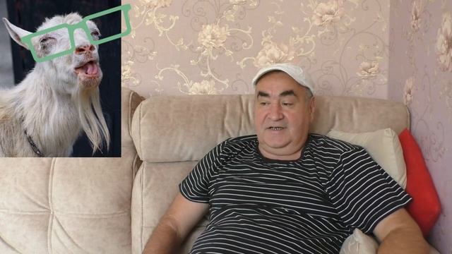 как назвать наше ШОУ про козла Залупника? смотреть онлайн