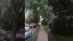 вороны нападают на людей. часть первая