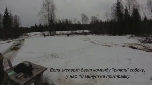 Состязания по подсадному медведю ЗСЛ