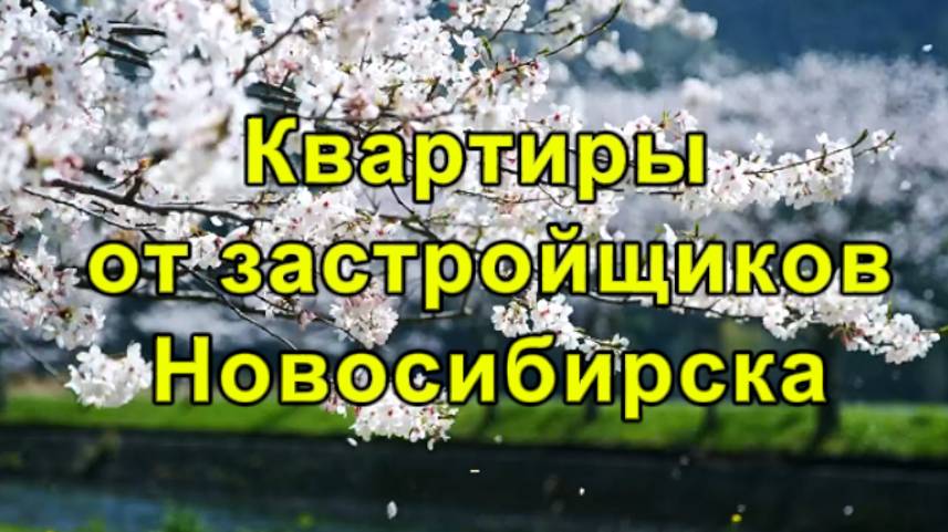 Квартиры от ЗАСТРОЙЩИКОВ Новосибирска! | Узнай, как КУПИТЬ квартиру от Застройщика в Новосибирске!