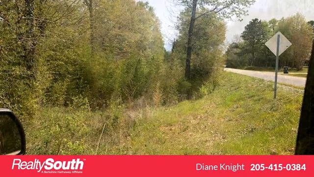 Homes for sale - 2488 CO RD 19 5, VERBENA, AL 36091 смотреть онлайн