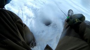 Рыбалка зимой на окуня и плотву. Зимняя рыбалка в подмосковье со льда!