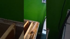 Паровой нож для распечатки сот | Электро парогенератор