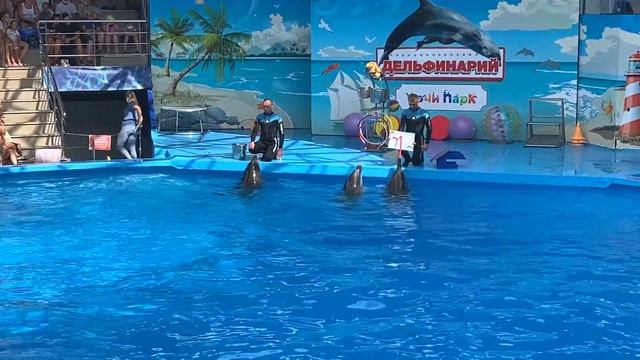 Сочи парк. Дельфинарий. На дельфинов  смотреть можно бесконечно. #Дельфин #сочипарк #дельфинарий