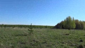 Ловушки для поимки роёв пчёл.