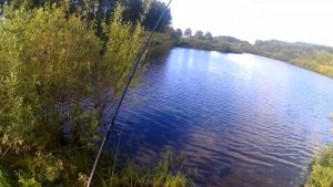Копия воблера ZipBaits Orbit 80,проводка,сеть.