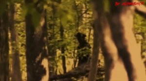 Страшное место в России - Тихвинские болота. Мистика