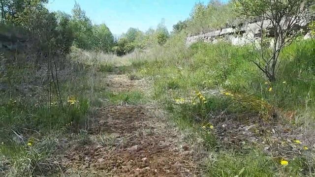Забытый город . Старая Ладога #любшинскаякрепость