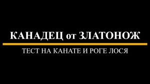 Канадец от Златонож (N690) — тест на канате и роге лося