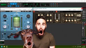 The best VST plugin AMP & Delay