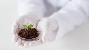 Экологическая безопасность Транснефти