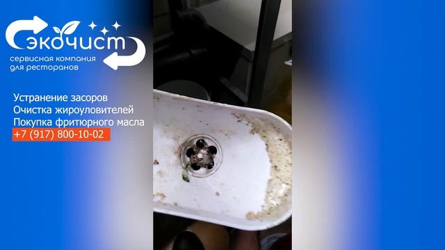 Устранение засора в сифоне с разрывом струи. Как избежать подобных засоров? смотреть онлайн