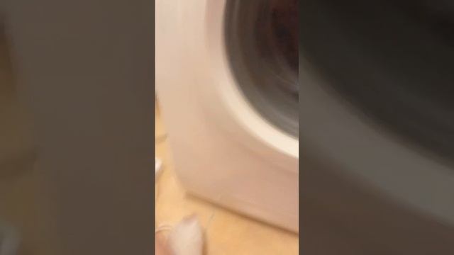 первый запуск стиральной машинки Bosch Maxx 5 после замены подшипников насоса и амортизаторов смотреть онлайн