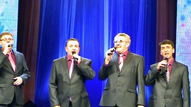 Васильки