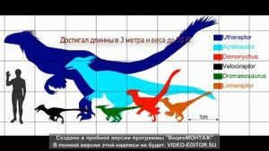 Дейноних против гуаньлуна.Сравнение