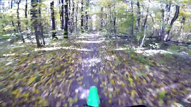 Forest: autumn ride on YCF Bigy MX смотреть онлайн