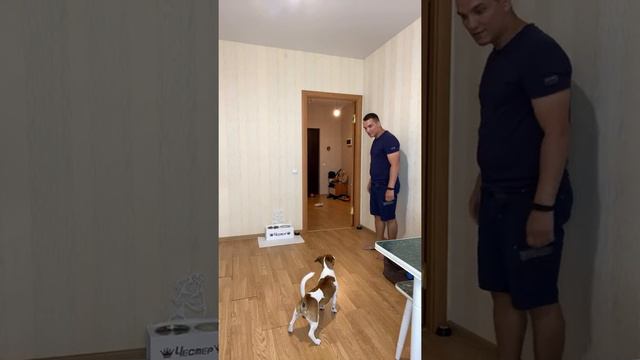 Человек Собаке Друг! 05.07.2022 смотреть онлайн