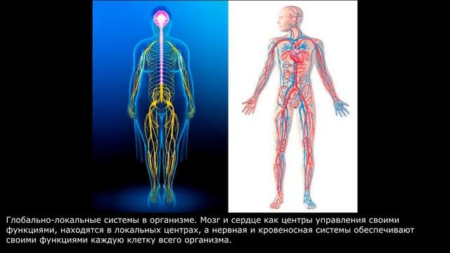 Гармоничное Человечество будущего. Институт социально-экономического прогнозирования Д.И.Менделеева
