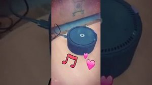 как я слушала на колонке Алисы песни