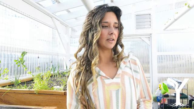 Plants for Healing - Rosemary смотреть онлайн