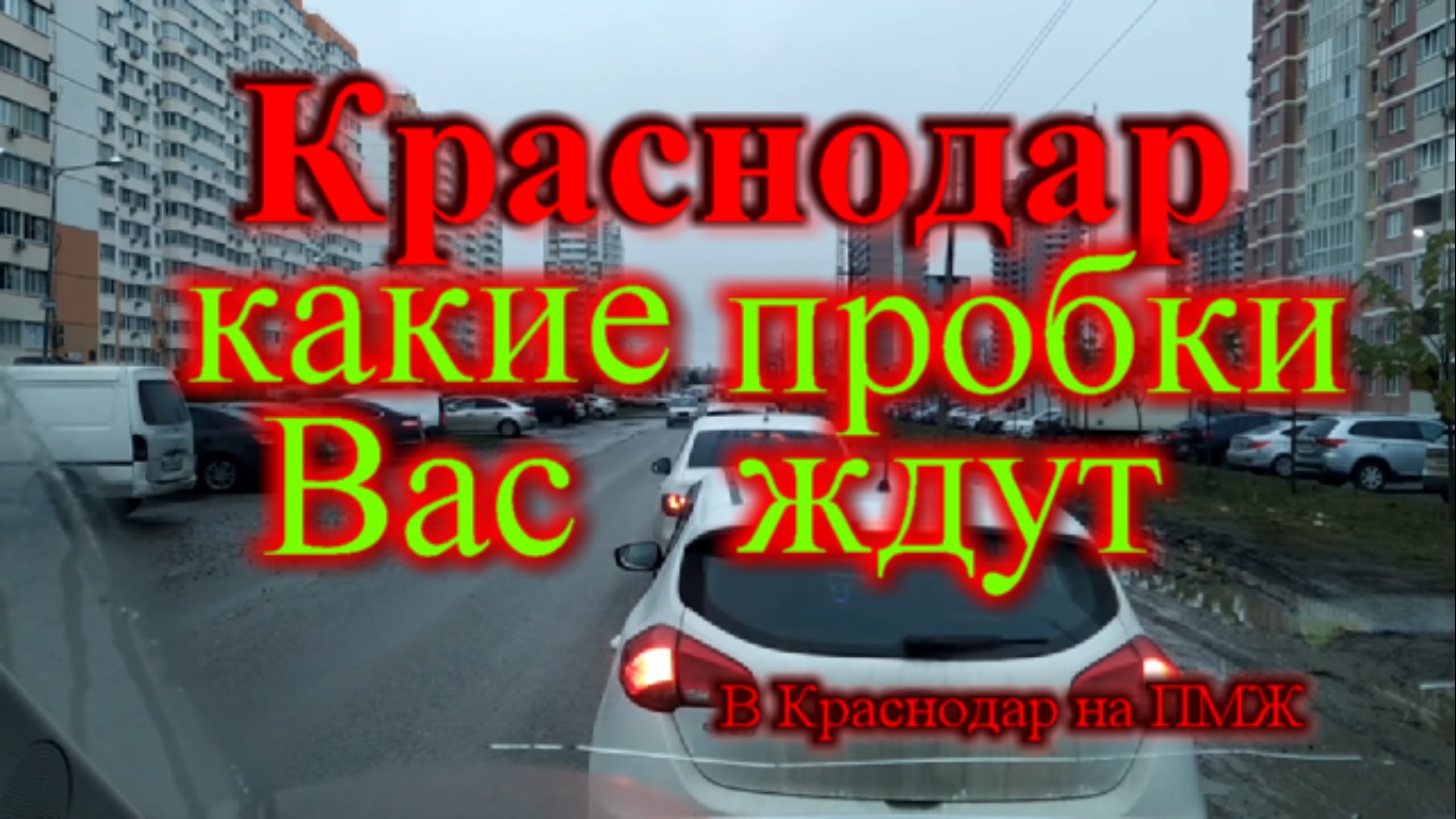 Работа в краснодаре водитель. Переезд в Краснодар юмор.