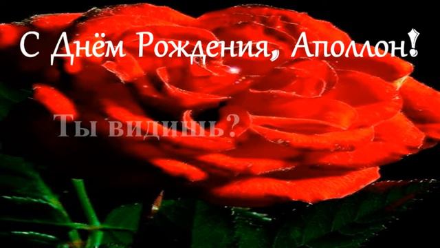 С Днём Рождения, Аполлон!