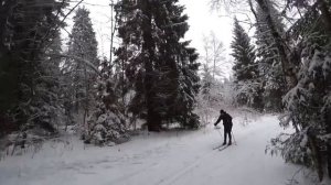 ГАБОвская народная лыжня / ГАБО / лыжная трасса в Подмосковье / Где покататься на лыжах в Москве?