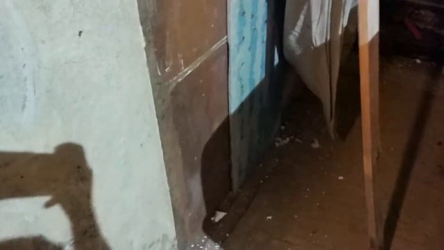 Разбираю утеплитель ворот после зимы