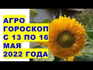 Агрогороскоп с 13 по 16 мая 2022 года