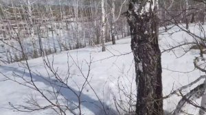 ЧТО БУДЕТ ЕСЛИ ПОКАЗАТЬ СУБАРИСТАМ ГРЯЗЬ? SUBARU OFFROAD