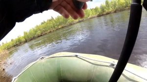 Крупная Сёмга на спиннинг