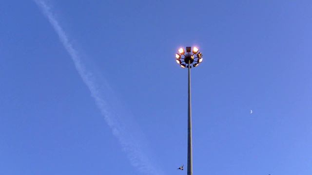 01-29-2012 - месяц, птицы смотреть онлайн